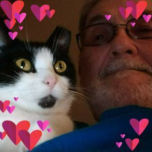 Meet your Posher, Ken